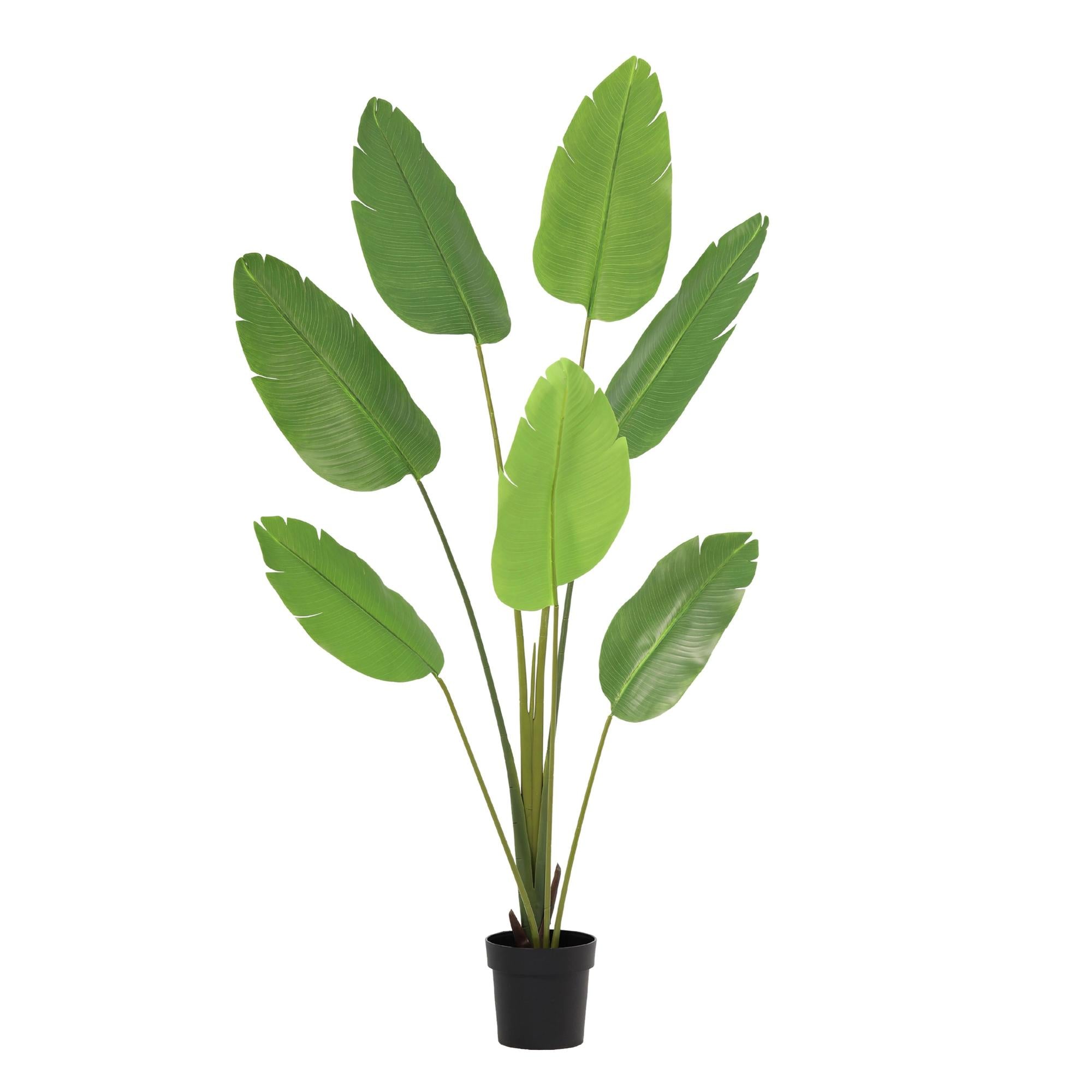 ARTIFICIAL Strelitzia Nicolai - 170cm