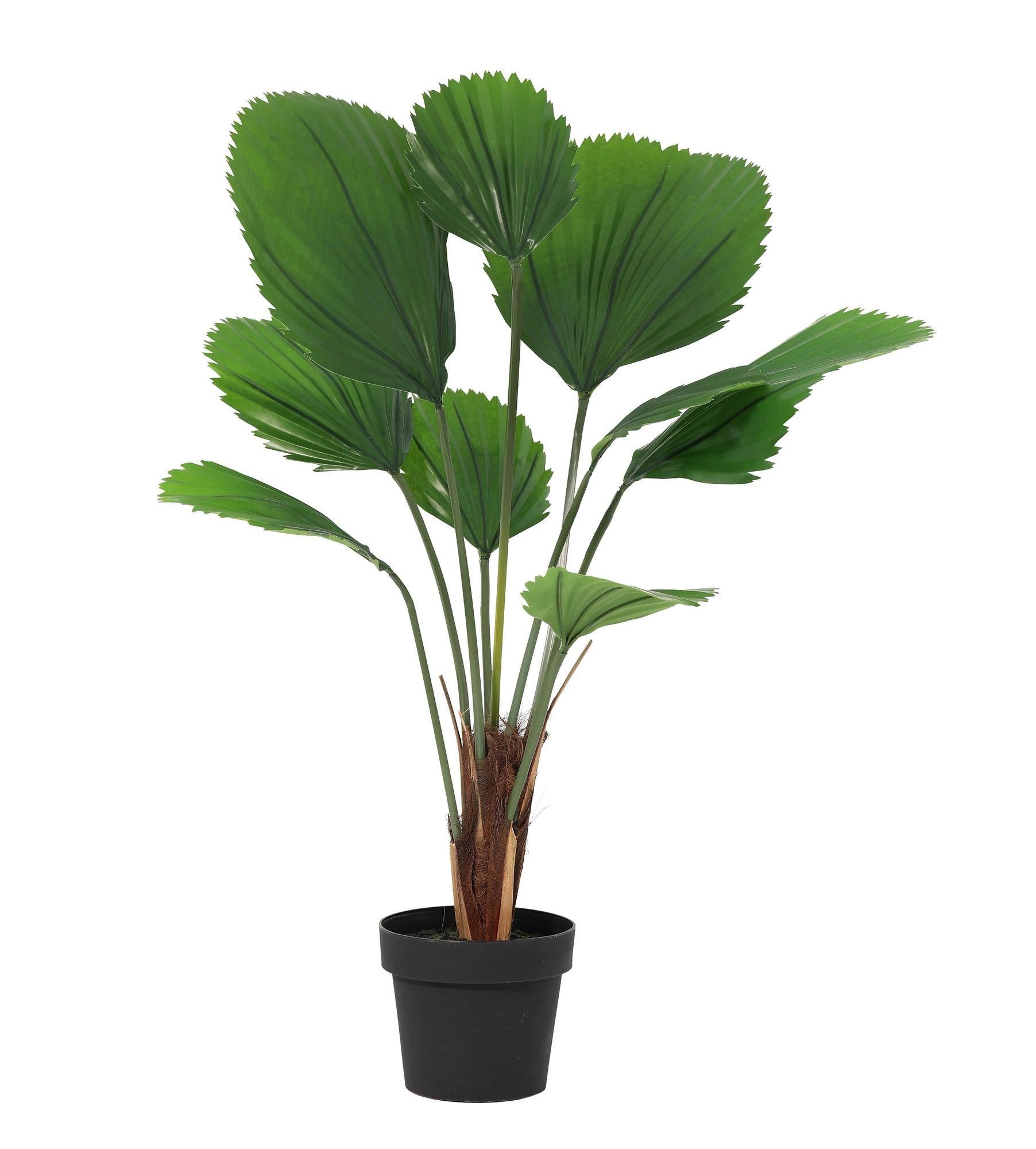 ARTIFICIAL Licuala Grandis - 104cm